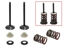 Psychic Exhaust Valve And Spring Kit