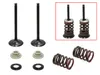Psychic Exhaust Valve And Spring Kit