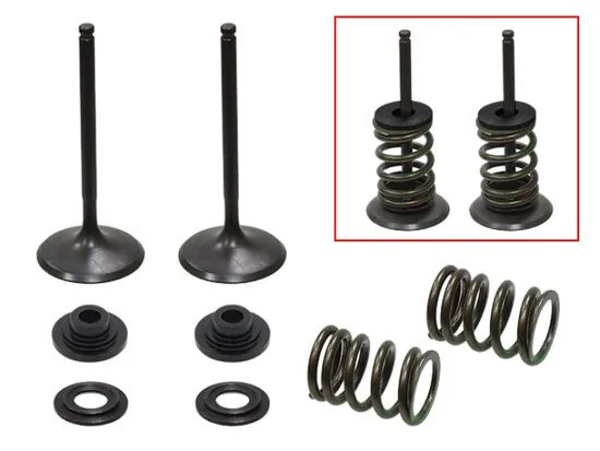 Psychic Intake Valve and Spring Kit