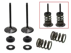 Psychic Intake Valve and Spring Kit