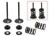 Psychic Intake Valve and Spring Kit