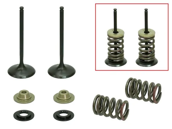 Psychic Intake Valve and Spring Kit