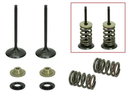 Psychic Intake Valve and Spring Kit