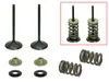 Psychic Intake Valve and Spring Kit