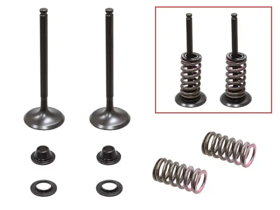 Psychic Exhaust Valve And Spring Kit