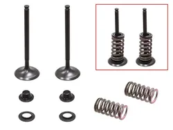 Psychic Exhaust Valve And Spring Kit