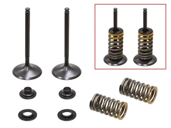 Psychic Intake Valve and Spring Kit