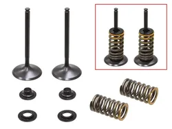 Psychic Intake Valve and Spring Kit