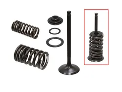 Psychic Steel Intake Valve Kit