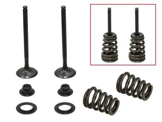 Psychic Exhaust Valve And Spring Kit