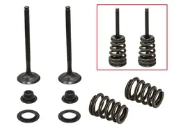 Psychic Exhaust Valve And Spring Kit