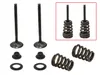Psychic Exhaust Valve And Spring Kit