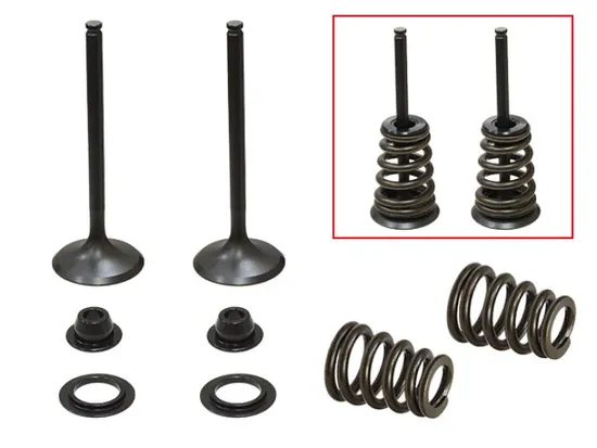 Psychic Intake Valve and Spring Kit