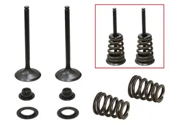 Psychic Intake Valve and Spring Kit