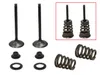 Psychic Intake Valve and Spring Kit