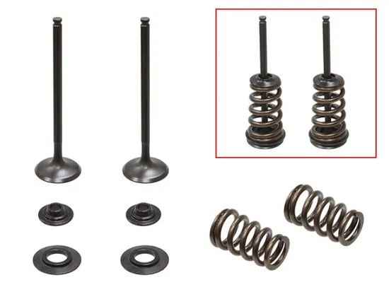 Psychic Exhaust Valve And Spring Kit