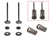 Psychic Exhaust Valve And Spring Kit