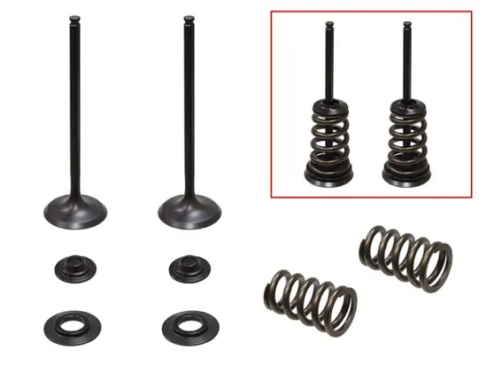 Psychic Steel Intake Valve Kit