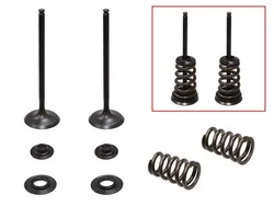 Psychic Steel Intake Valve Kit