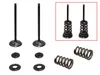 Psychic Steel Intake Valve Kit
