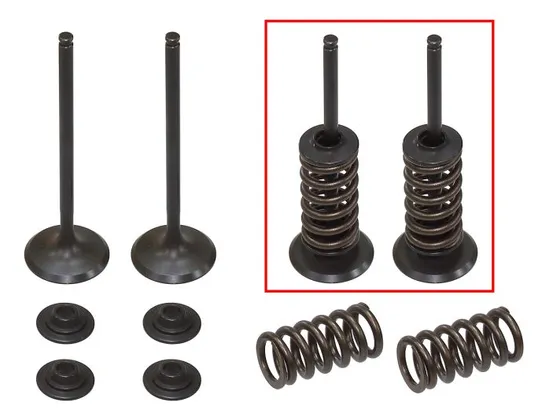 Psychic Intake Valve and Spring Kit