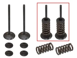 Psychic Intake Valve and Spring Kit