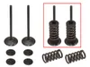 Psychic Intake Valve and Spring Kit