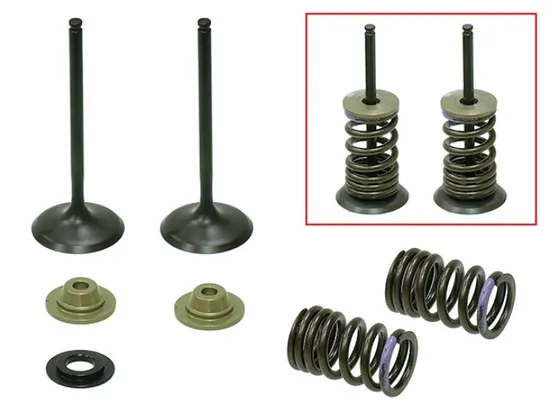 Psychic Intake Valve and Spring Kit