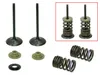 Psychic Intake Valve and Spring Kit