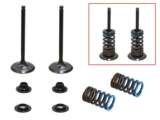 Psychic Intake Valve and Spring Kit