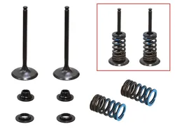 Psychic Intake Valve and Spring Kit