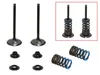 Psychic Intake Valve and Spring Kit