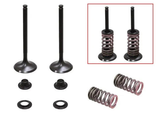 Psychic Exhaust Valve And Spring Kit