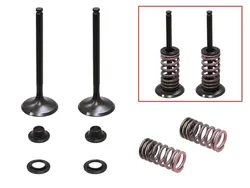 Psychic Exhaust Valve And Spring Kit
