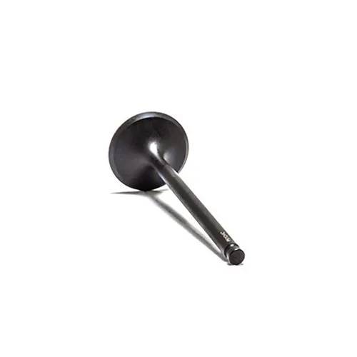 Psychic Intake Valve and Spring Kit 3