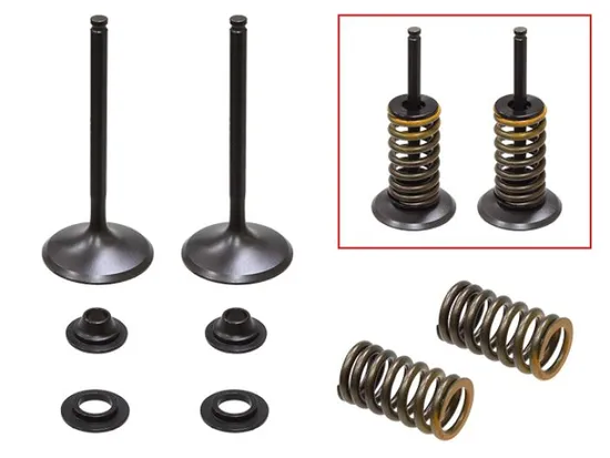 Psychic Intake Valve and Spring Kit