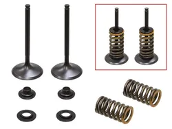 Psychic Intake Valve and Spring Kit