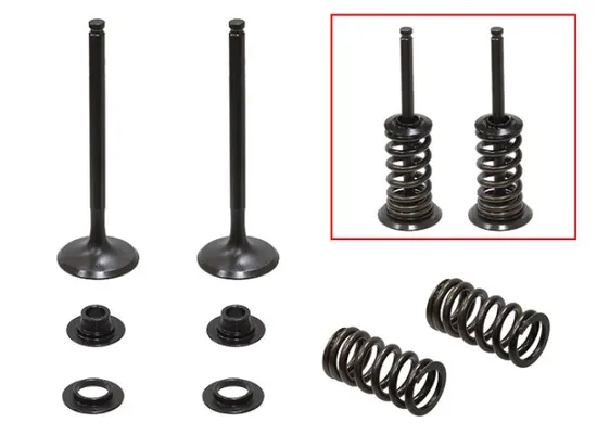 Psychic Exhaust Valve And Spring Kit