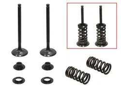 Psychic Exhaust Valve And Spring Kit