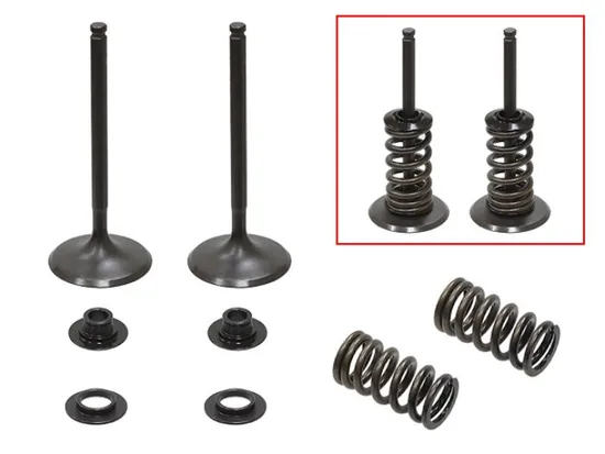 Psychic Intake Valve and Spring Kit