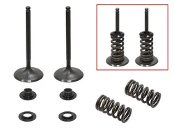 Psychic Intake Valve and Spring Kit