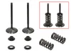 Psychic Intake Valve and Spring Kit
