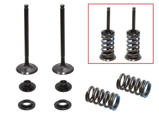 Psychic Exhaust Valve And Spring Kit