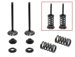Psychic Exhaust Valve And Spring Kit