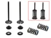 Psychic Exhaust Valve And Spring Kit