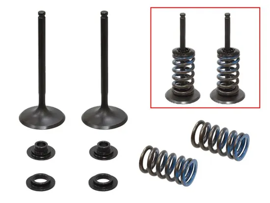 Psychic Intake Valve and Spring Kit