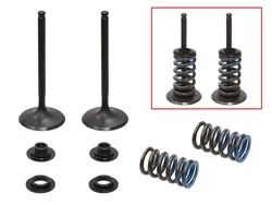 Psychic Intake Valve and Spring Kit