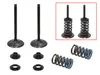 Psychic Intake Valve and Spring Kit