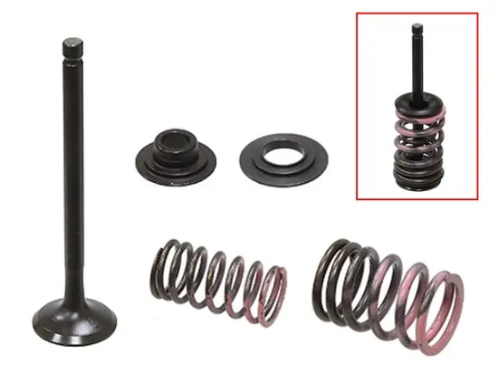 Psychic Steel Exhaust Valve Kit