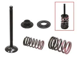 Psychic Steel Exhaust Valve Kit